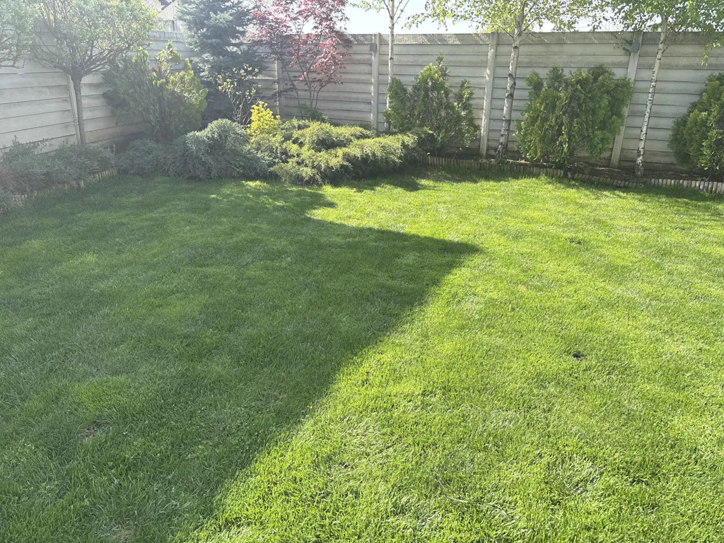 Îngrășământ gazon Starter pentru însămânțare, supraînsămânțare și reabilitare