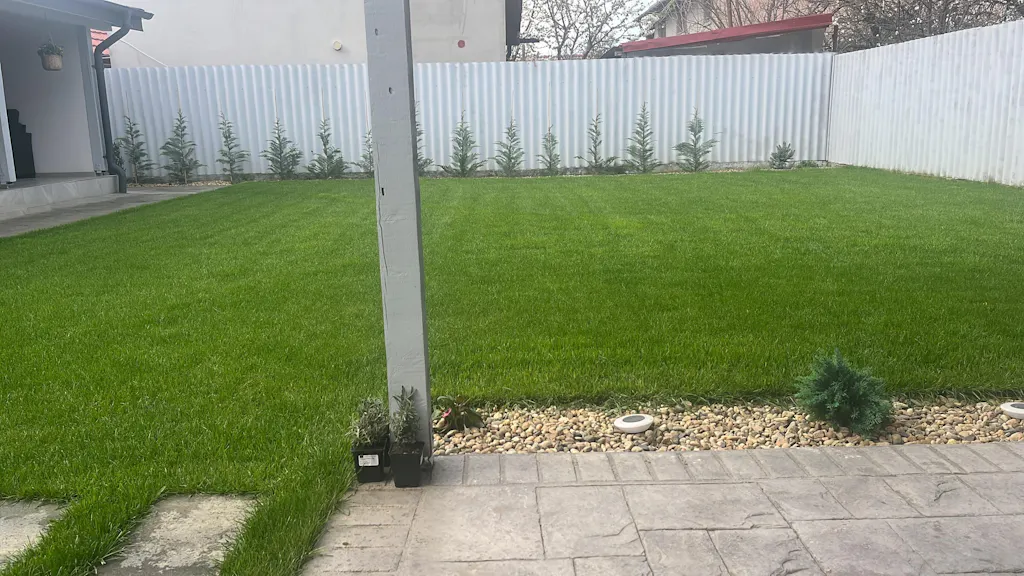 Îngrășământ gazon Starter pentru însămânțare, supraînsămânțare și reabilitare
