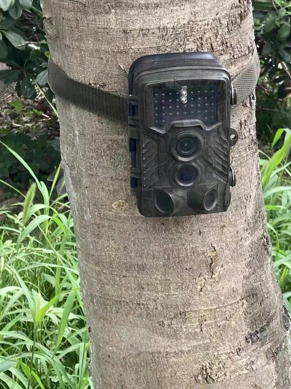 IcoFiss Wireless Water Resistant, Scouting Night Vision Trail Camera