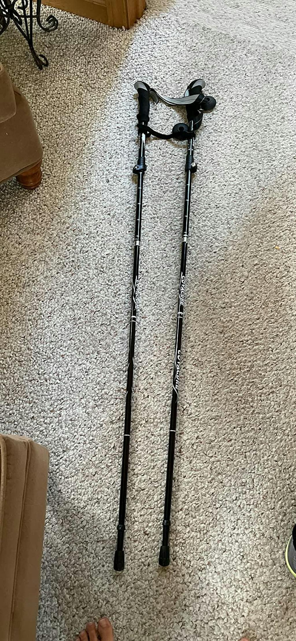 TrekBud Adjustable Trekking Pole, Hiking Stick Gear Tekk