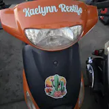 User picture