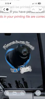 User picture