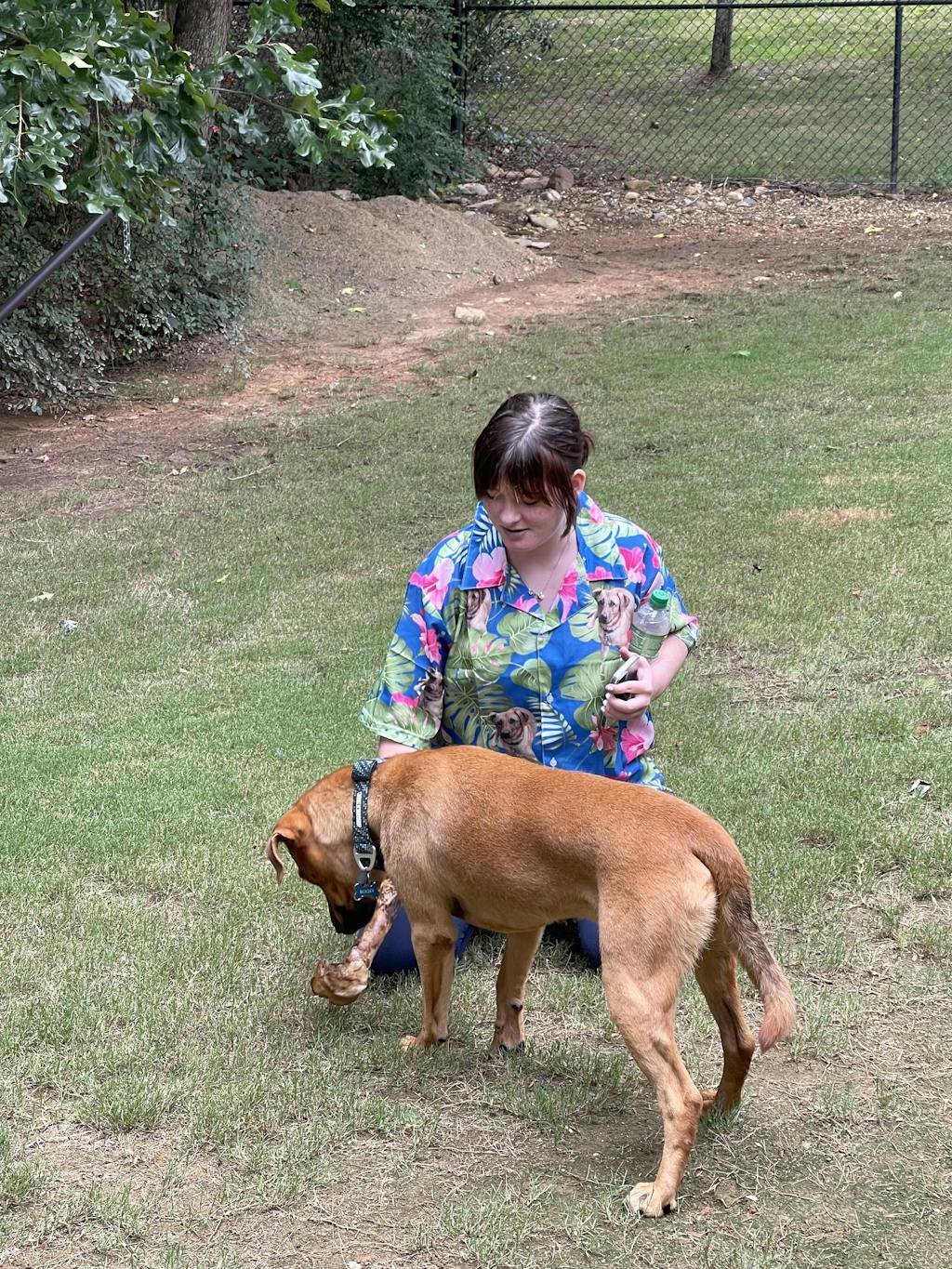 Upload Photo Dog Women's Hawaiian Shirt K228 888326