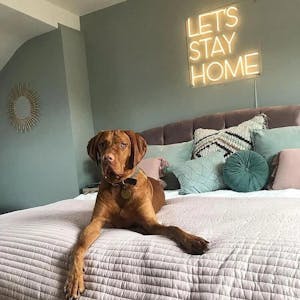 Let's Stay Home Neon Sign