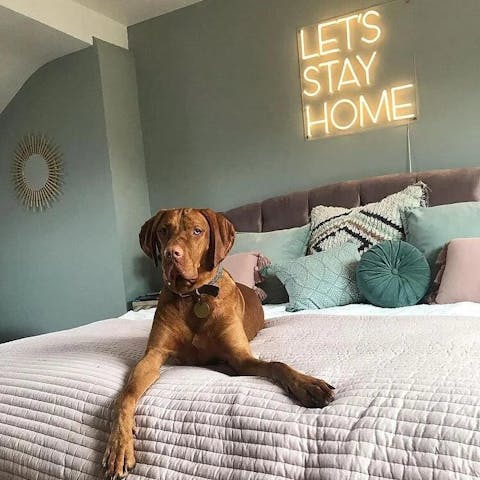 Let's Stay Home Neon Sign