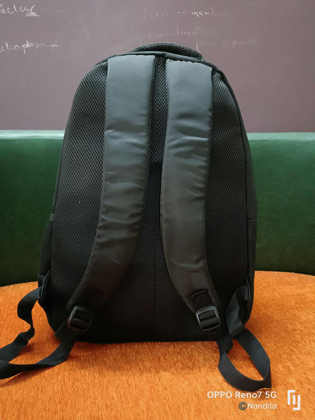 Buy Genie Zim Zam 36L Black Laptop Backpack Online