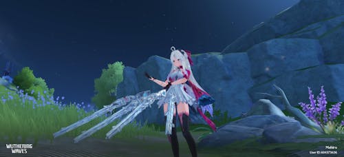 Wuthering Waves Carlotta Starter Reroll Account