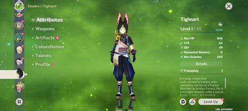 Genshin Impact Special Wishes Reroll Account