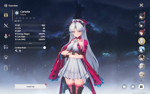 Wuthering Waves Custom Starter Account