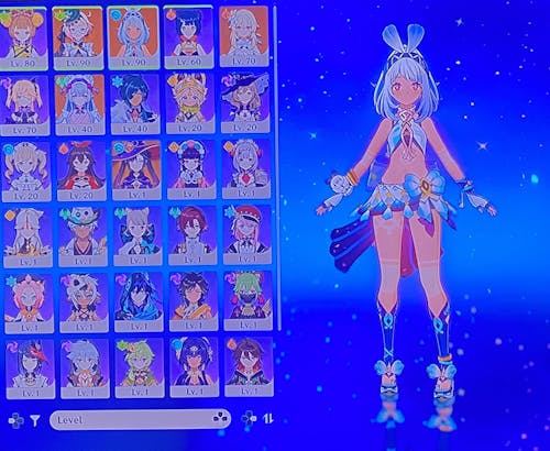Genshin Impact Wishes Starter Account (America)