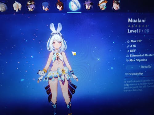 Genshin Impact Custom Starter Account