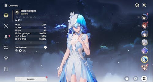 Wuthering Waves Custom Starter Account