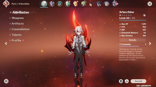 Arlecchino Starter Account