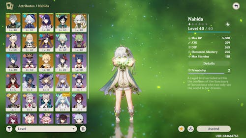 Genshin Impact Custom Starter Account