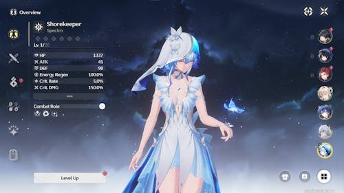 Wuthering Waves Custom Starter Account