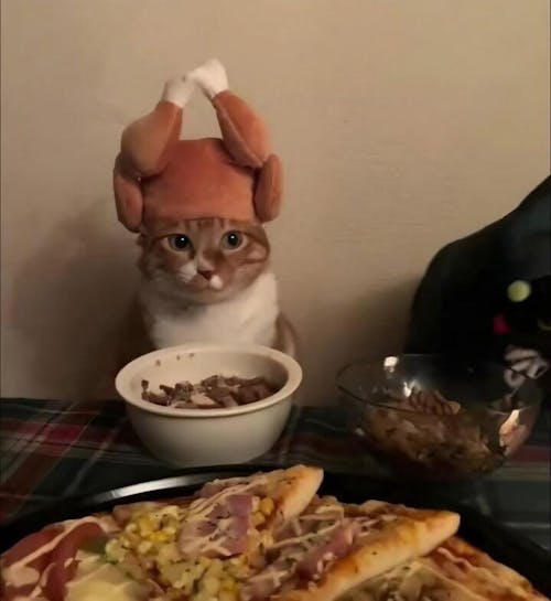 Mavuika Genshin Impact Farmed Starter Account