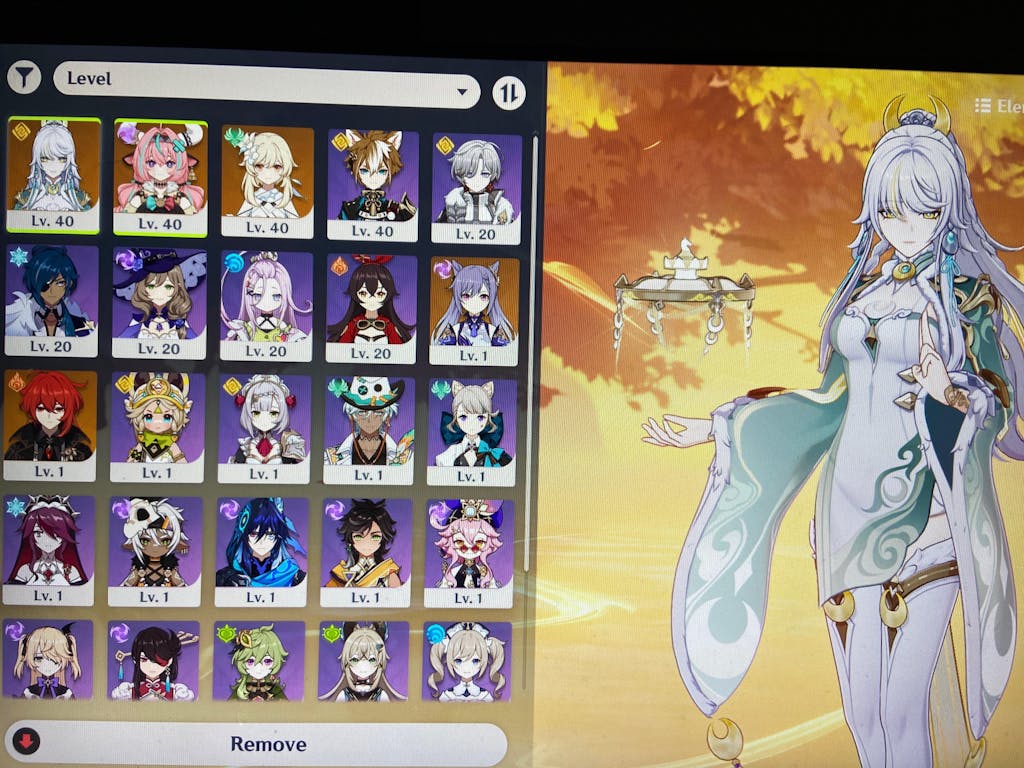 Arlecchino Genshin Impact Farmed Starter Account