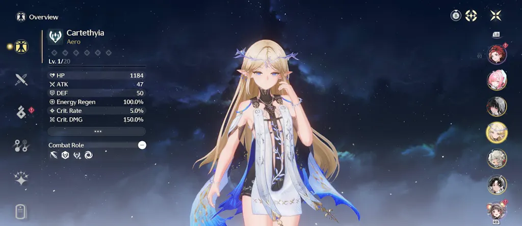 Wuthering Waves Custom Starter Account