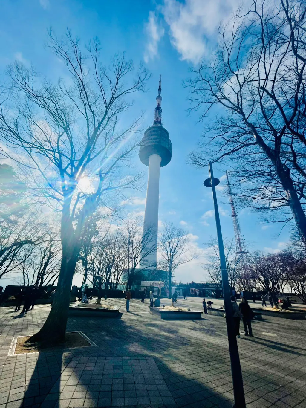Fiat Mephistopheles, 1923, Record Breaker (ED-431)