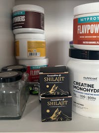 Shilajit - Das Original