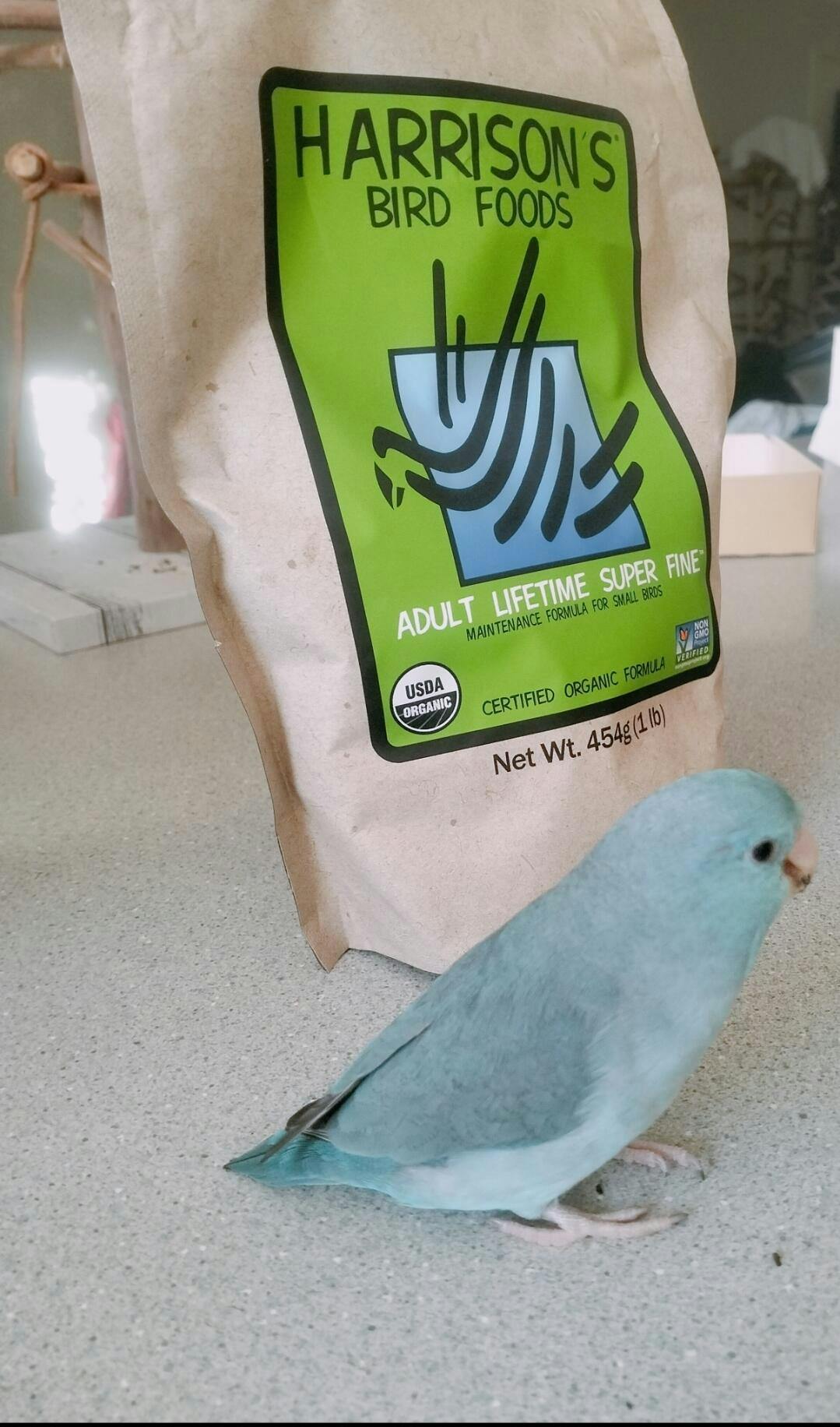 Amazon | Harrison's Bird Food (ハリソンフード) アダルト