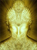 Probiotic Drink - L.A.B (Lactic Acid Bacteria)