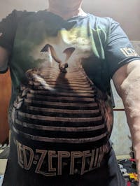 Led Zeppelin 3D Apparel - NGHIAVT 2567