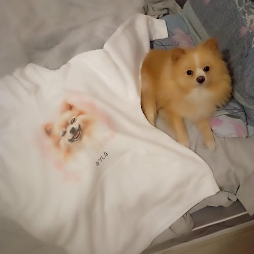 Bluza personalizowana z psem #1100