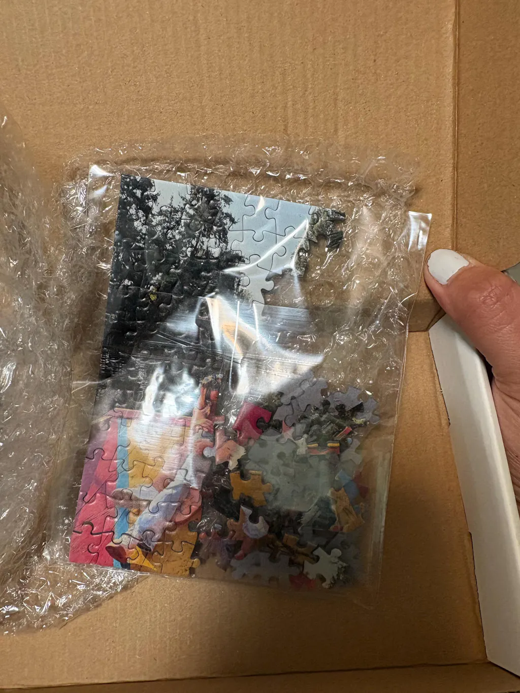 Customer photo
