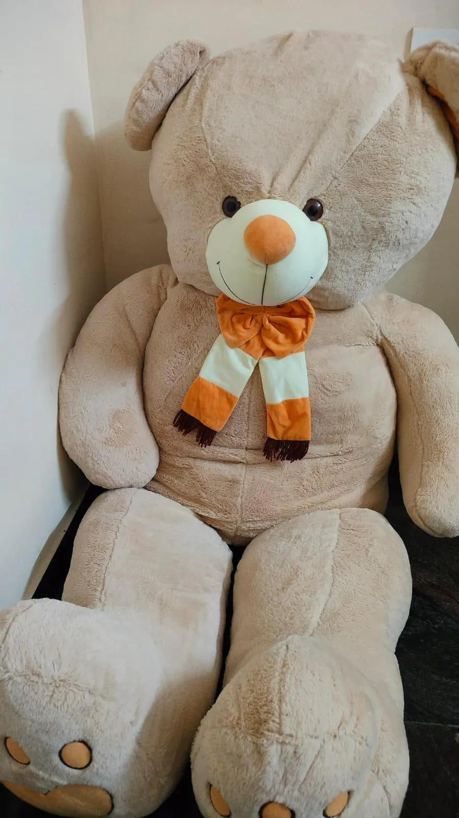 Buy 6 feet Teddy Bear Toy online at Best Price | Giftify