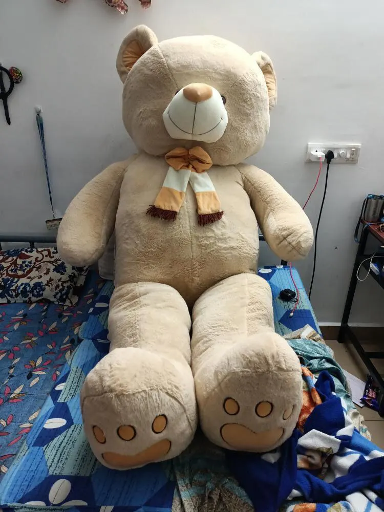 Buy 6 feet Teddy Bear Toy online at Best Price | Giftify