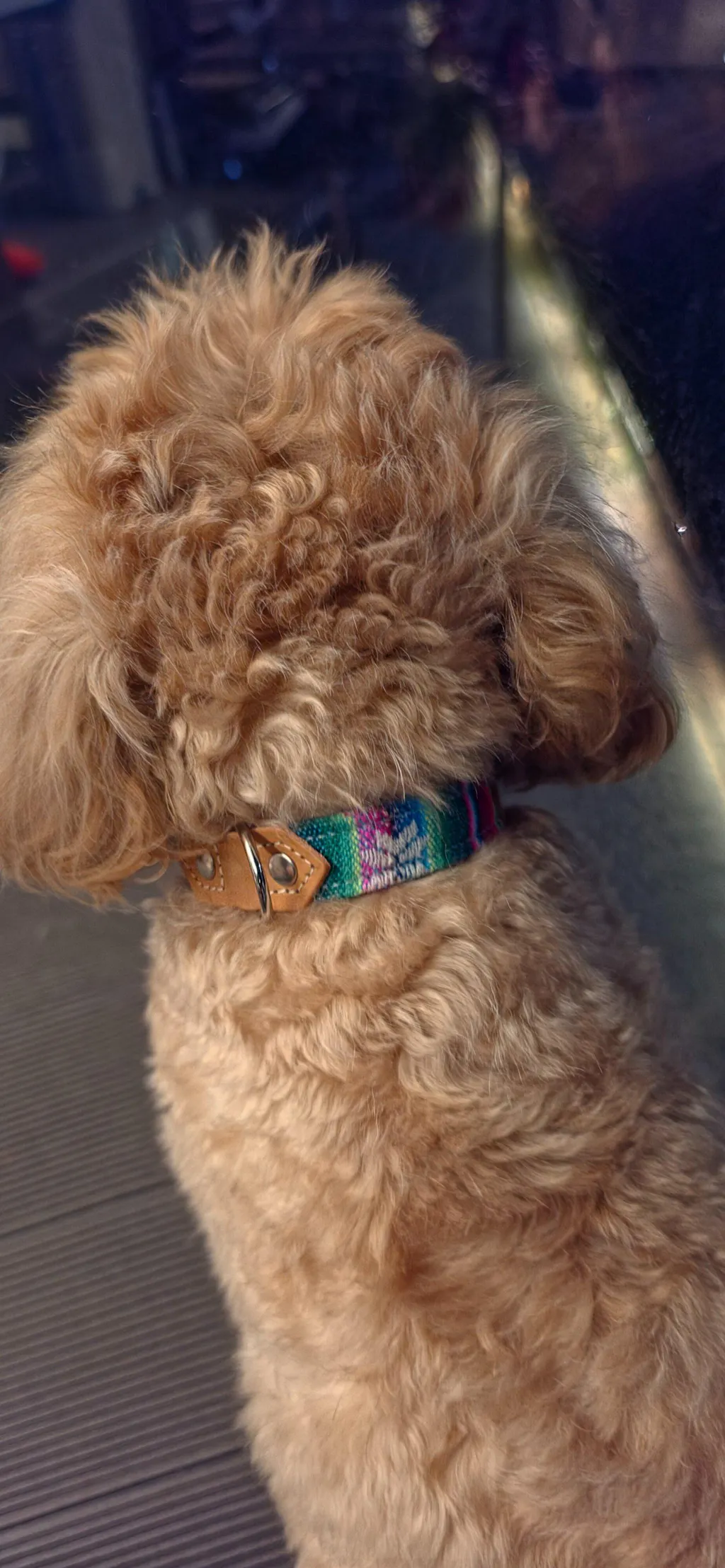 Hiro+Wolf Collar: Cyan Inca