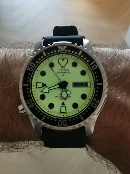 Orologio Citizen NY0040-09W Promaster full lume Paladini