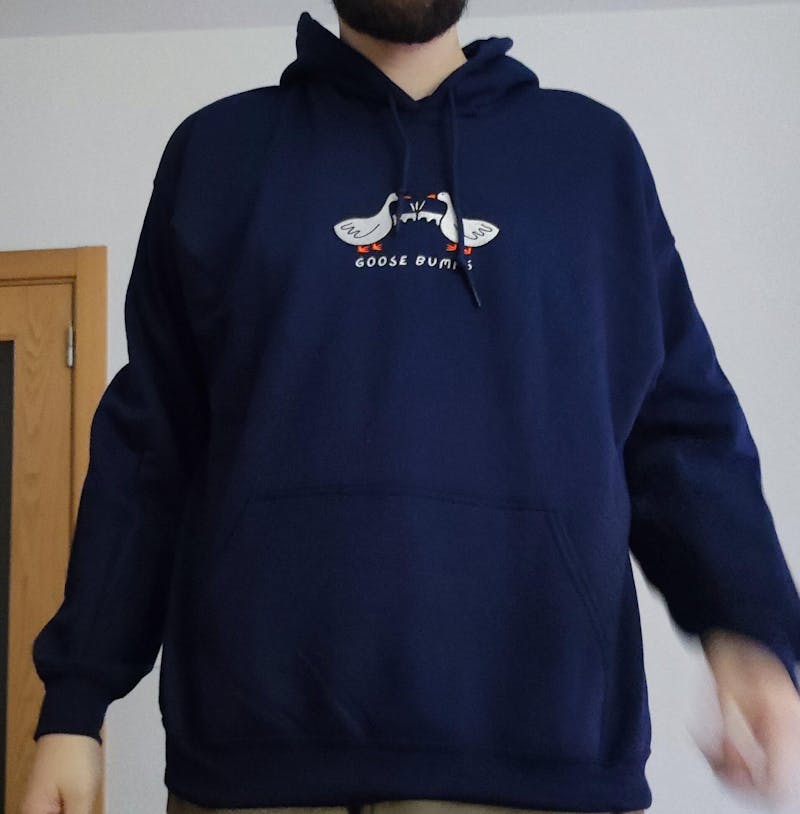 Goose Bumps Embroidered Hoodie