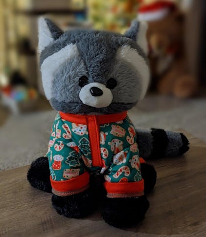 Bandit the Raccoon – givehugz Bandit the Raccoon – givehugz