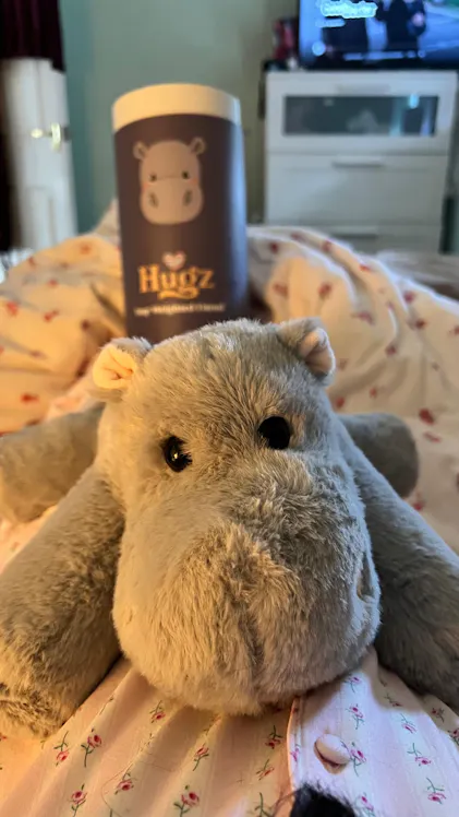 Mochi the Hippo – givehugz
