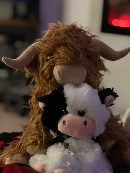 Mini Milkshake the Cow – givehugz