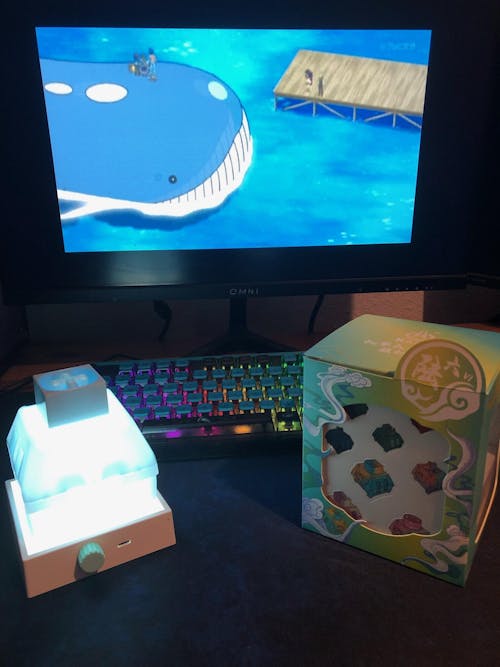 Kailh Switches Storage