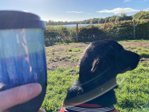 Lisboa - Grande (12oz/380ml)