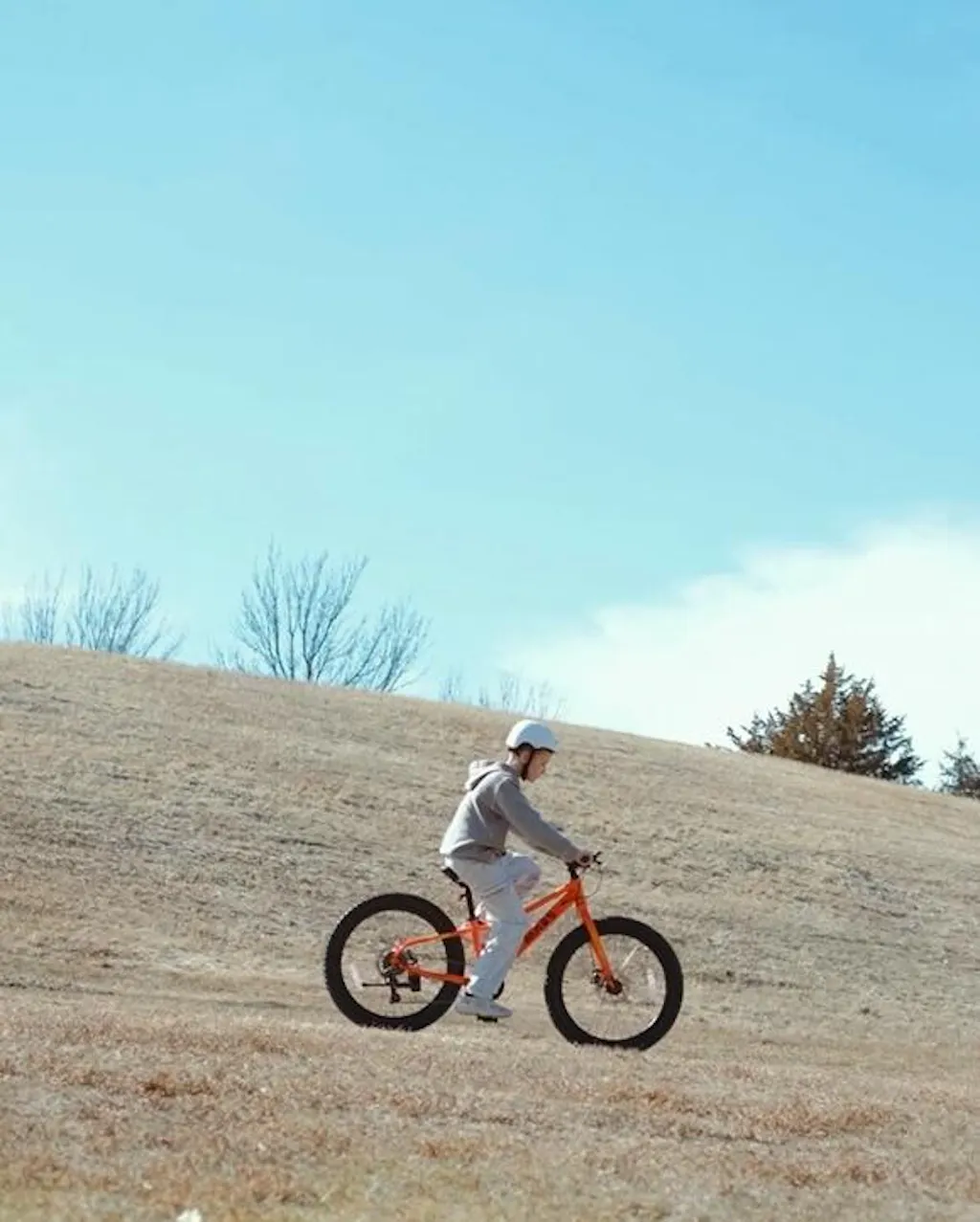 Glerc 20" Mountain Bike For Beginner - Mars