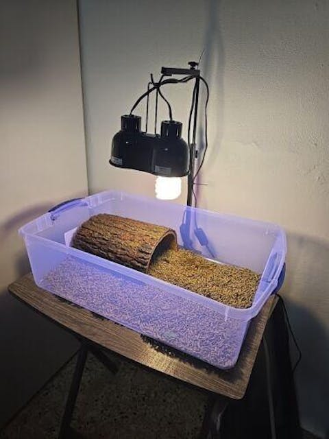 Reptile Heat Lamp Stand 15"-25" Adjustable