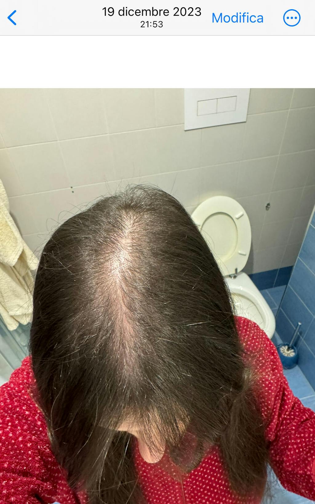 HAIR GLOSS for mids and ends Golâb Beauty