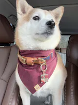 A Well Loved Patchwork Quilt