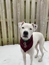 A Well Loved Patchwork Quilt