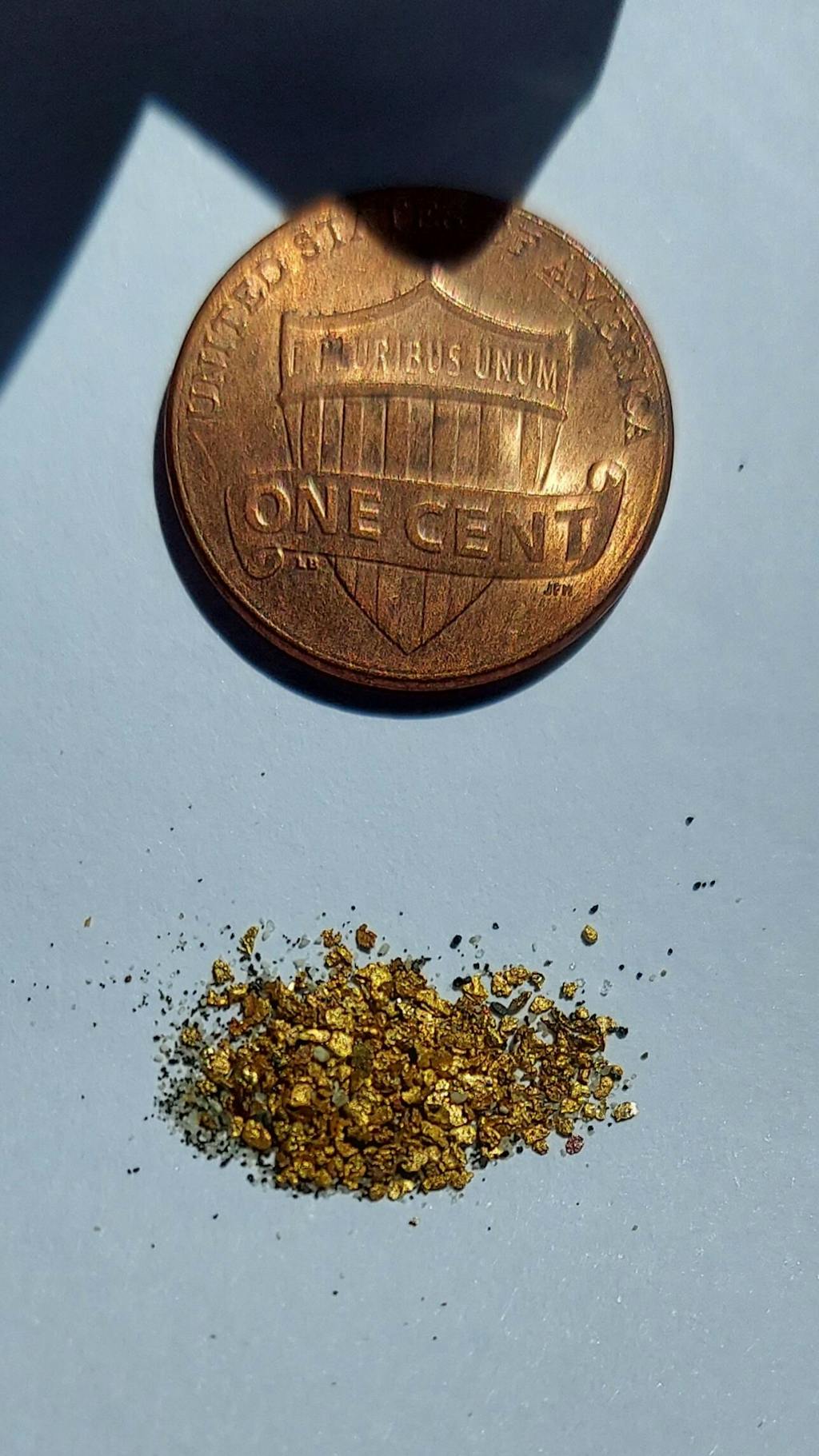 GPAA Golden Dirt Bag Gold Prospectors Association of America
