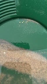 GPAA's Lucky Nugget Paydirt Subscription