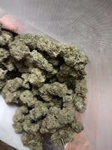 Mule Fuel: Potent Indica Hybrid Experience in Wholesale