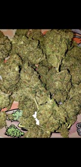 True OG Kush Breath in Wholesale