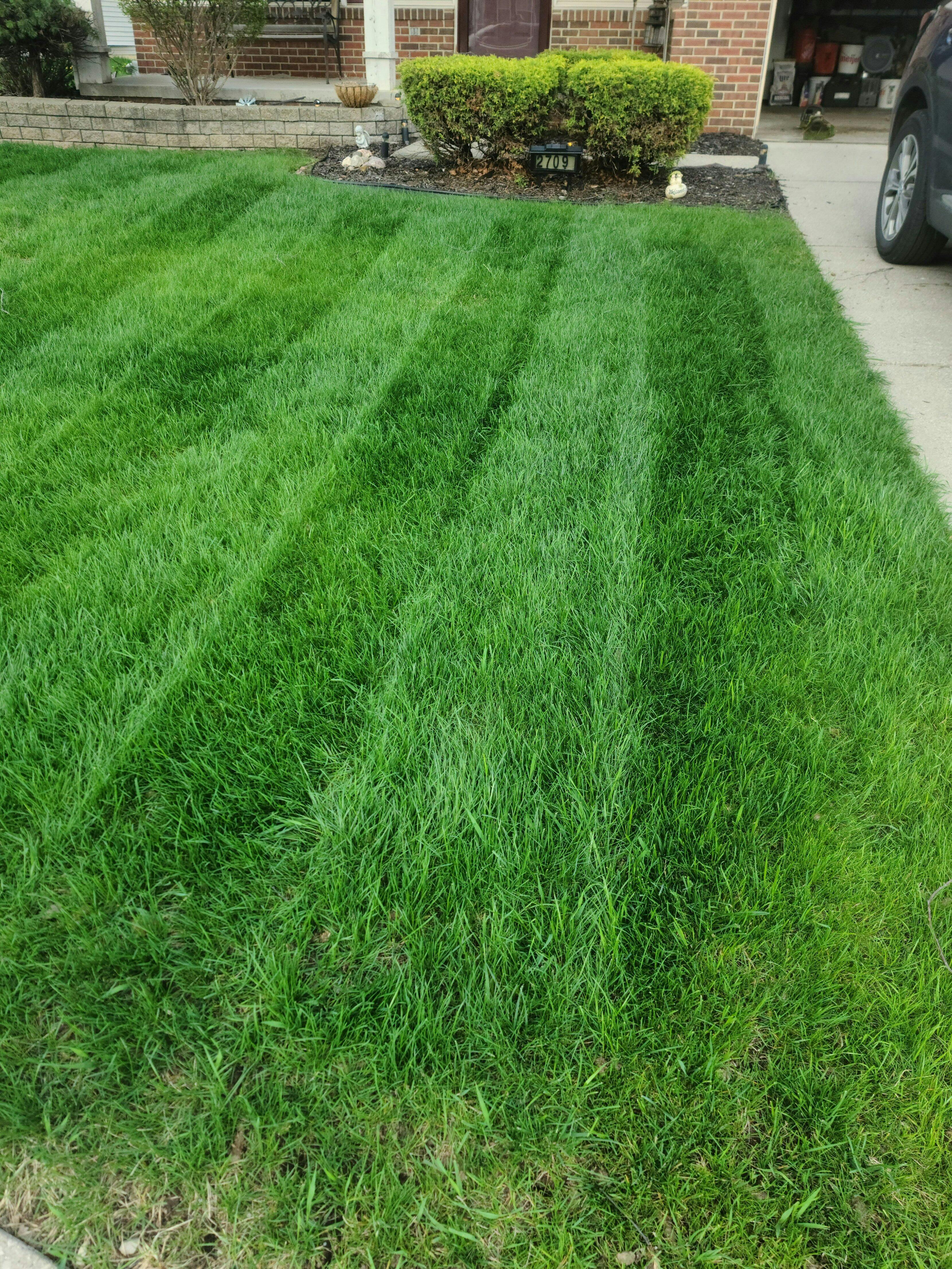 CarbonizPN-G™ Granular Soil Compost & Biochar | Golf Course Lawn Store