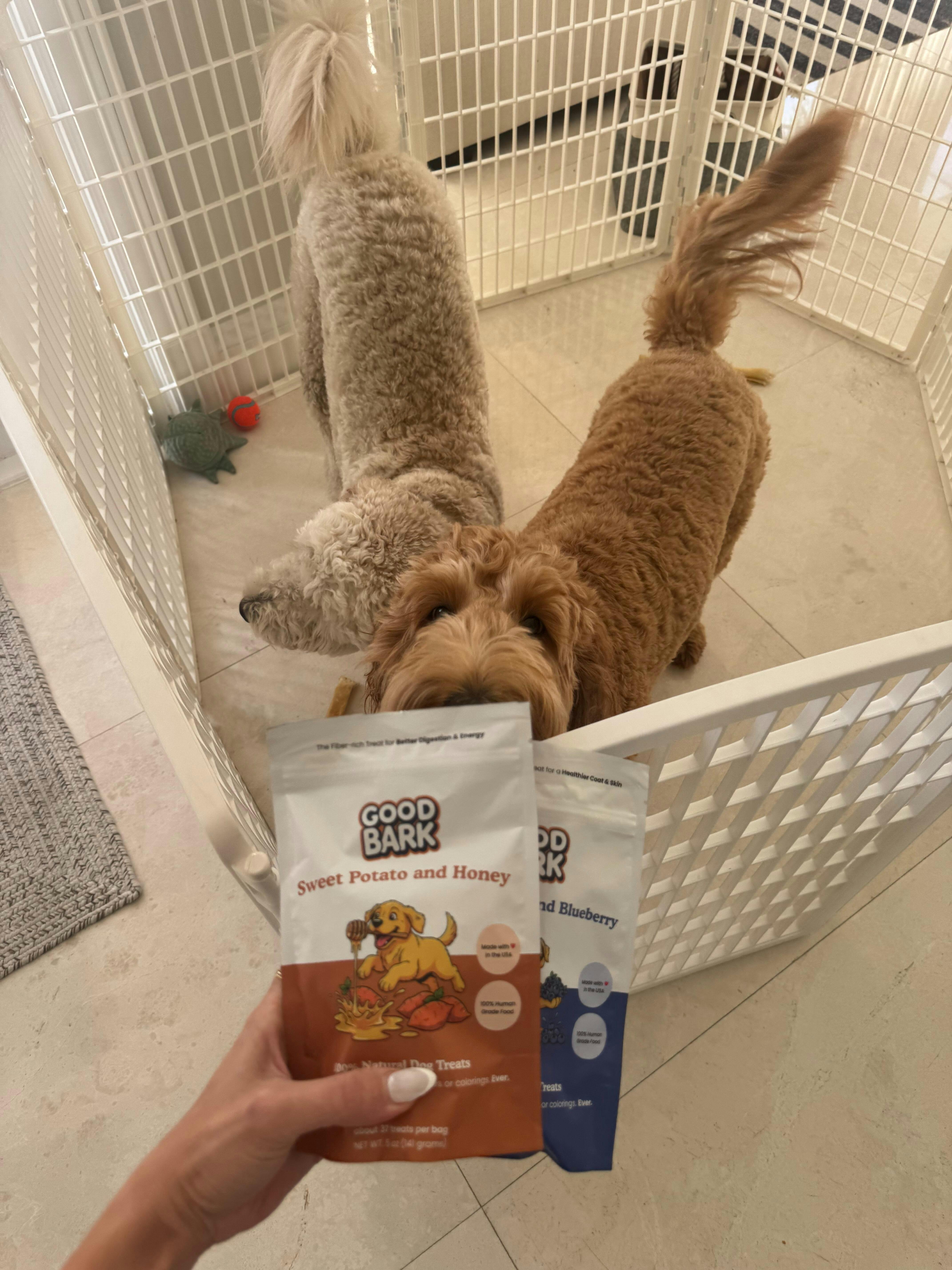 Good Bark customer photo from Sarah J
